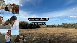we become true texans