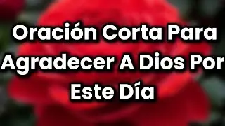 DIOS, GRACIAS POR TODO LO QUE ME DAS | Oración Poderosa para Comenzar el Día