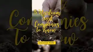 5 Heirloom Seed Companies to Know #heirloomseeds #seeds #farming