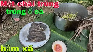 Kinh khủng một chài  hốt trọn ổ cá lau kiến hầm xã ngon ơi là ngon 