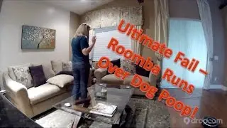 Funny Dog Video - Roomba Runs Over Dog Poop