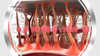 Freeze Process Visualization