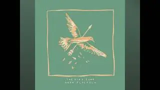 The bird song for 1 hour