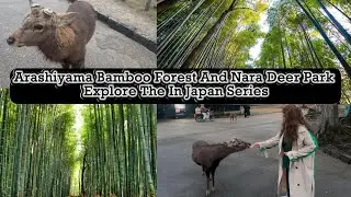 Japan Series ||  Arashiyama Bamboo  Forest And  Nara Deer Park || Explore In Japan