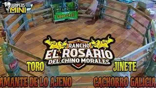 MINI JARIPEO TORNEO DE GANADERIS EN HUAQUECHULA PUEBLA