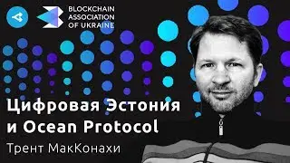 Technological Developments in Estonia and Ocean Protocol Proposal &mdash; Trent McConaghy