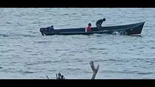 🌴PALMARES DE LA ENSENADA SAMBO CREEK LA CEIBA HONDURAS @HONDURAS-NEWS @LACEIBATVHN 