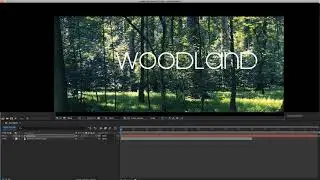 Text Effects in After Effects