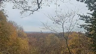 Jefferson Memorial Forest 6700 acres so peaceful—10 minutes Brooks or New Cut. Great hiking trails