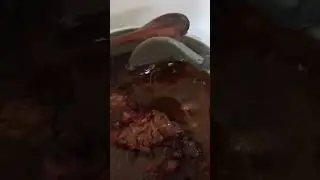 RI BRASIL CIV #rir #comedia #problemas #feijoada #comida #agora  #engra&ccedil;ado #ribrasil #humor