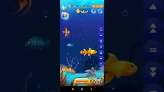 Clipclaps buy fish gold
