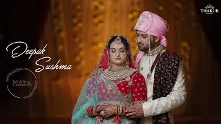 Wedding Highlights of Deepak+Sushma || Thakur Digital Studio || Udhampur Wedding j&k