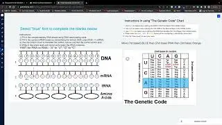 How to Use The Genetic Code Chart (rev)