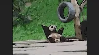 PANDAAAA