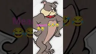 You pitbull face Betty Davis on a doodle stick