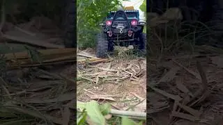 RC 1/10#automobile #offroad #rccar #offroadrigs