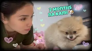 Two Months Na Pups Ni Twixie + 60 Days Ni Ginger | Mitch Duran