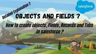 What  are Objects and  Fields in Salesforce | How to create Objects, Fields, Tabs and Records