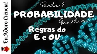 Regras do 