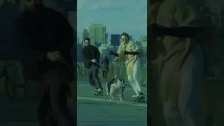 Sound of Her Heartbeat #dog #dogskating #skating #blankspaces #guitar #indiemusic