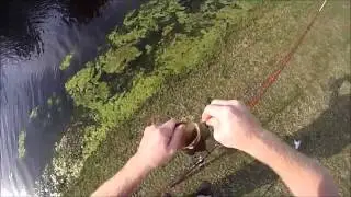 Prespawn bass bed fishing with QuicKbaits-QuicKbeetle