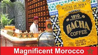 Bacha Coffee Marrakech | Jamil Stories | #marrakech #morroco #bachacoffee