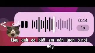 TH&Iacute;CH AI Đ&Oacute; | PAHN | Credit Pro. KynBB 