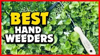 ✅Top 5 Best Hand Weeders in 2025