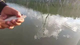 pescaria  no alagado usina Mau&aacute;