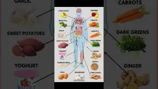 Best Foods to Boost Immunity & Overall Health - Complete Guide! 🥦