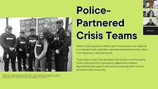 Crisis Response Teams in Ontario - Environmental Scan - Webinar - 2024-12-04