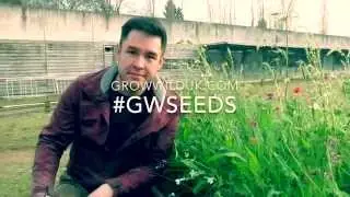 James Wong on how to grow UK native wildflowers
