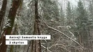 Antroji Samuelio knyga | 2 skyrius
