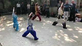 14 Fundamental Hap Kyun Fist Techniques&rdquo;&nbsp;(俠拳十四式基本拳法)