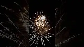 INSANE, triggers curiosity #fireworks  #EpicFireworks #InsaneFireworks #FireworksShow #ViralShorts