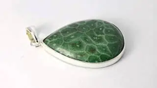 Versteinerte Koralle 30x23mm