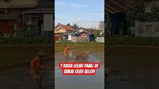 7 rasa lelah yang di suakai oleh alloh #shortsvideo #shortvideo