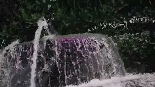 Daily Sounds with Strings