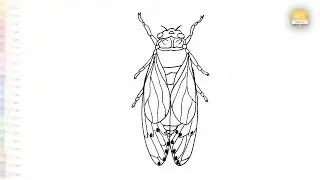Cicada drawings easy | Insect drawing tutorial | How to draw A Cicada step by step | #artjanag