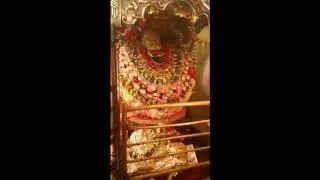 मां विंध्यवासिनी की मंगला आरती के बाद लगी भक्तों की कतार