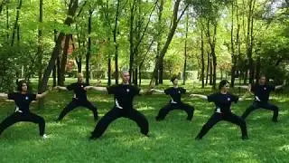 Școala Taijidao - taijiquan stilul Chen