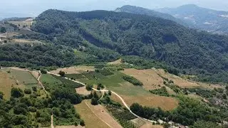 DEDOVINA