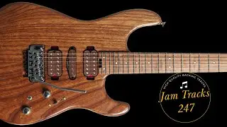 Guthrie Govan Style Ballad Guitar Backing Track in G Major (79bpm)