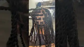 What&rsquo;s your favorite natural hairstyle? I&rsquo;m sticking beside the mini twists!#qvrhair #1b #braids