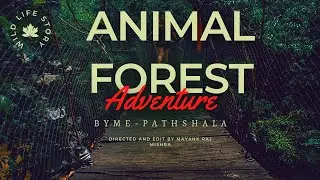 Amazon rainforestand its diversity By me-pathshala #ecosystem#sciencefacts #pwvidyapeethkota#explore