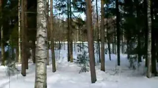 Snowy Pirkkola
