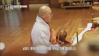 울려 퍼지는 목탁 소리... 그리고 이어지는 견 보살을 위한 기도 [동물극장 단짝] | KBS 220507 방송