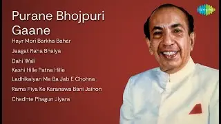 Shama Bano | Hayr Mori Barkha Bahar | Jaagat Raha Bhaiya | Dahi Wali
