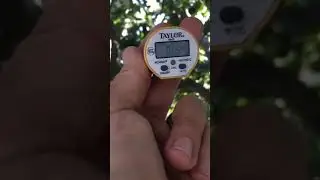 Sun vs  Shade Photosynthesis and Transpiration