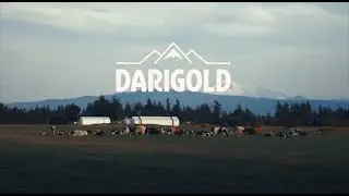 Darigold. Milk for Your Daily Adventure.